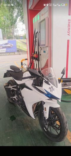 Kayo 250RR Thornbird - ფოტო 3