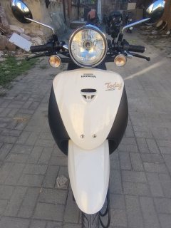 Sundiro Honda Freedom Today 50 cc - ფოტო 1