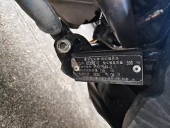 SYM Husky ADV300 - ფოტო 5