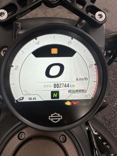 Harley-Davidson Sportster S 1250 cc - фото 10