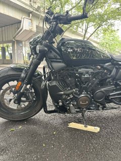 Harley-Davidson Sportster S 1250 cc - фото 6
