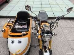 Stoner Monkey 125 Sidecar - ფოტო 3