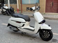 Weiduoliya Sixties 150i - ფოტო 4