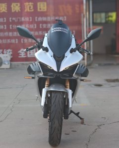QJMOTOR Sai 450 - ფოტო 2