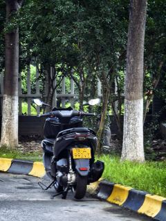 CFMOTO 150SC - ფოტო 1