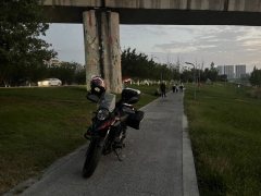 Haojue Suzuki DL250 - ფოტო 4