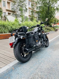 Harley-Davidson Nightster 975 cc - photo 6