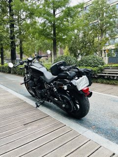 Harley-Davidson Nightster 975 cc - photo 8