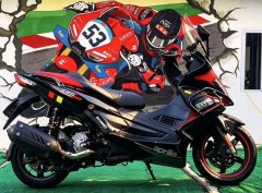 Zongshengapuliya SR Max 250 - ფოტო 3