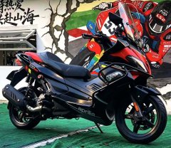 Zongshengapuliya SR Max 250 - ფოტო 9