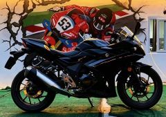Haojue Suzuki GSX250R - ფოტო 2