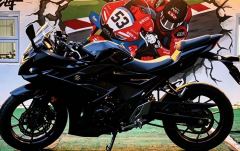 Haojue Suzuki GSX250R - ფოტო 5