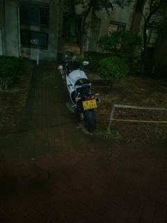 Zeths ZFR525C Avenger 500 cc - ფოტო 5
