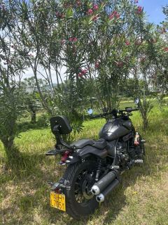 Voge CU525 500 cc - ფოტო 5