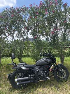 Voge CU525 500 cc - ფოტო 6