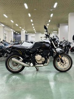 Gaojin GK400 450 cc - ფოტო 5