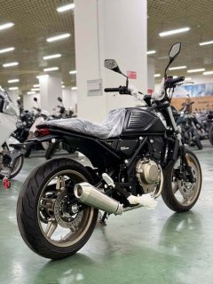 Gaojin GK400 450 cc - ფოტო 8
