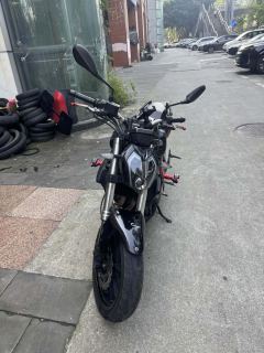 Benelli TNT 300 / BN 302S - ფოტო 3