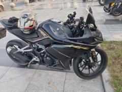 Kayo 250RR Thornbird - ფოტო 2