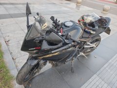 Kayo 250RR Thornbird - ფოტო 4