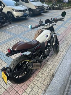 Cyclone RE250 - ფოტო 3