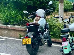 Cyclone RE250 - ფოტო 5