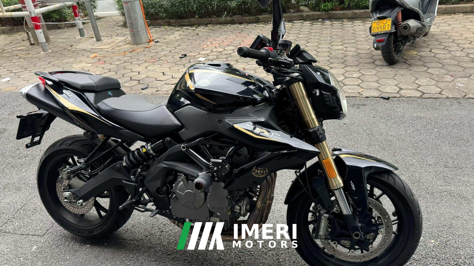 2024 Benelli TNT600i