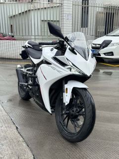 Kayo 250RR Thornbird - ფოტო 1