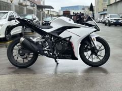 Kayo 250RR Thornbird - ფოტო 4