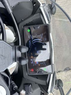 Kayo 250RR Thornbird - ფოტო 6
