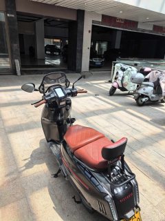 Weiduoliya Sixties 150Si - ფოტო 4