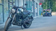 Benelli Lion Cub Leoncino 500 - ფოტო 3