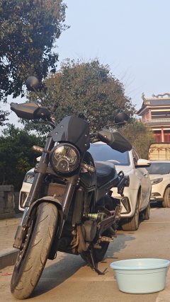 Benelli Lion Cub Leoncino 500 - ფოტო 5