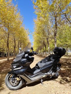 Cyclone Ruitu RT3 250 cc - ფოტო 2