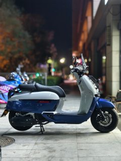 Weiduoliya Sixties 150Si - ფოტო 1