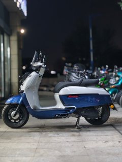 Weiduoliya Sixties 150Si - ფოტო 4