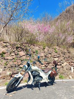 Zongshen Yomi Yumi 125 cc - фото 1