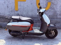 Weiduoliya Sixties 250Si - photo 2