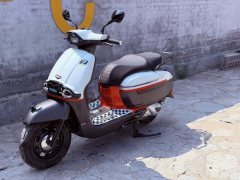 Weiduoliya Sixties 250Si - photo 8