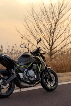 Kawasaki Z650 - ფოტო 4