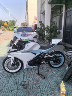 Kayo 250RR Thornbird - ფოტო 2
