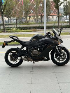 QJMOTOR SRK 250 - фото 4