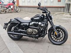 Benda Chinchilla 250 - photo 1