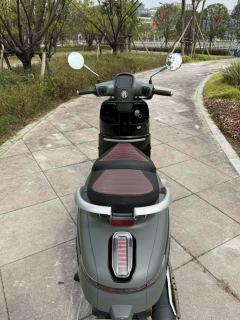 Nanfnag Monica Lisa Feigo 150 cc - ფოტო 11