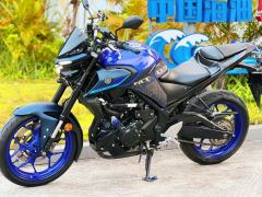 Yamaha MT-03 320 cc - ფოტო 5