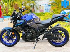 Yamaha MT-03 320 cc - ფოტო 6