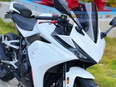 Kayo 250RR Thornbird - ფოტო 4