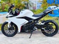 Kayo 250RR Thornbird - ფოტო 6