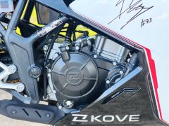 Kayo 250RR Thornbird - ფოტო 9