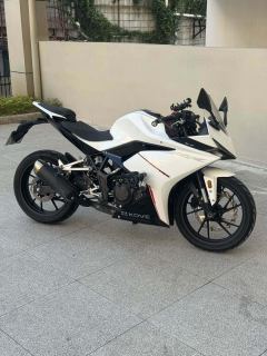 Kayo 250RR Thornbird - ფოტო 2